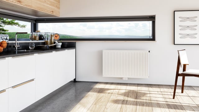 RADIK CLEAN VKM8